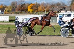 Dateiname=20251026_qu1_016_QU1_0066.jpg
Dateigröße=362KB
Abmessungen: 1000x667
hinzugefügt am: 27. Oktober 2025 20251026_qu1_016_QU1_0066.jpg