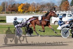 Dateiname=20251026_qu1_017_QU1_0067.jpg
Dateigröße=364KB
Abmessungen: 1000x667
hinzugefügt am: 27. Oktober 2025 20251026_qu1_017_QU1_0067.jpg