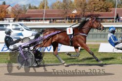 Dateiname=20251026_qu1_021_QU1_0078.jpg
Dateigröße=342KB
Abmessungen: 1000x667
hinzugefügt am: 27. Oktober 2025 20251026_qu1_021_QU1_0078.jpg