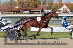 Dateiname=20251026_qu1_022_QU1_0080.jpg
Dateigröße=334KB
Abmessungen: 1000x667
hinzugefügt am: 27. Oktober 2025 20251026_qu1_022_QU1_0080.jpg