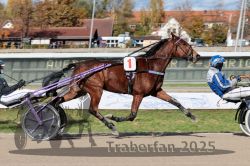 Dateiname=20251026_qu1_023_QU1_0081.jpg
Dateigröße=345KB
Abmessungen: 1000x667
hinzugefügt am: 27. Oktober 2025 20251026_qu1_023_QU1_0081.jpg