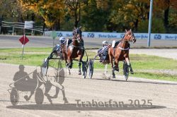 Dateiname=20251026_qu1_027_QU1_0093.jpg
Dateigröße=346KB
Abmessungen: 1000x667
hinzugefügt am: 27. Oktober 2025 20251026_qu1_027_QU1_0093.jpg