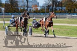 Dateiname=20251026_qu1_033_QU1_0112.jpg
Dateigröße=371KB
Abmessungen: 1000x667
hinzugefügt am: 27. Oktober 2025 20251026_qu1_033_QU1_0112.jpg