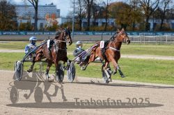 Dateiname=20251026_qu1_034_QU1_0115.jpg
Dateigröße=380KB
Abmessungen: 1000x667
hinzugefügt am: 27. Oktober 2025 20251026_qu1_034_QU1_0115.jpg