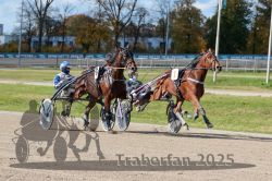 Dateiname=20251026_qu1_037_QU1_0122.jpg
Dateigröße=362KB
Abmessungen: 1000x667
hinzugefügt am: 27. Oktober 2025 20251026_qu1_037_QU1_0122.jpg