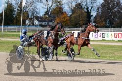 Dateiname=20251026_qu1_041_QU1_0132.jpg
Dateigröße=390KB
Abmessungen: 1000x667
hinzugefügt am: 27. Oktober 2025 20251026_qu1_041_QU1_0132.jpg