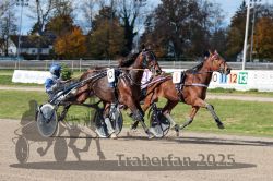 Dateiname=20251026_qu1_042_QU1_0135.jpg
Dateigröße=367KB
Abmessungen: 1000x667
hinzugefügt am: 27. Oktober 2025 20251026_qu1_042_QU1_0135.jpg