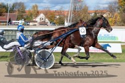 Dateiname=20251026_qu1_047_QU1_0158.jpg
Dateigröße=341KB
Abmessungen: 1000x667
hinzugefügt am: 27. Oktober 2025 20251026_qu1_047_QU1_0158.jpg