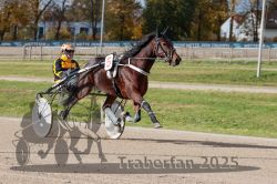 Dateiname=20251026_qu2_001_QU2_0007.jpg
Dateigröße=343KB
Abmessungen: 1000x667
hinzugefügt am: 27. Oktober 2025 20251026_qu2_001_QU2_0007.jpg