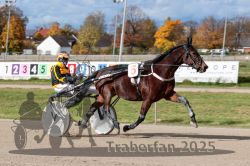 Dateiname=20251026_qu2_005_QU2_0019.jpg
Dateigröße=310KB
Abmessungen: 1000x667
hinzugefügt am: 27. Oktober 2025 20251026_qu2_005_QU2_0019.jpg