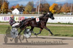 Dateiname=20251026_qu2_013_QU2_0041.jpg
Dateigröße=327KB
Abmessungen: 1000x667
hinzugefügt am: 27. Oktober 2025 20251026_qu2_013_QU2_0041.jpg