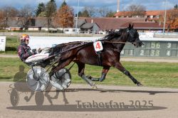 Dateiname=20251026_qu2_016_QU2_0048.jpg
Dateigröße=323KB
Abmessungen: 1000x667
hinzugefügt am: 27. Oktober 2025 20251026_qu2_016_QU2_0048.jpg