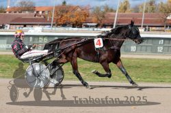 Dateiname=20251026_qu2_017_QU2_0052.jpg
Dateigröße=311KB
Abmessungen: 1000x667
hinzugefügt am: 27. Oktober 2025 20251026_qu2_017_QU2_0052.jpg