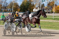 Dateiname=20251026_qu2_027_QU2_0084.jpg
Dateigröße=372KB
Abmessungen: 1000x667
hinzugefügt am: 27. Oktober 2025 20251026_qu2_027_QU2_0084.jpg