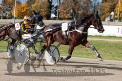 Dateiname=20251026_qu2_029_QU2_0090.jpg
Dateigröße=366KB
Abmessungen: 1000x667
hinzugefügt am: 27. Oktober 2025 20251026_qu2_029_QU2_0090.jpg