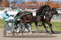 Dateiname=20251026_qu2_033_QU2_0105.jpg
Dateigröße=344KB
Abmessungen: 1000x667
hinzugefügt am: 27. Oktober 2025 20251026_qu2_033_QU2_0105.jpg