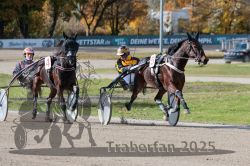 Dateiname=20251026_qu2_039_QU2_0124.jpg
Dateigröße=350KB
Abmessungen: 1000x667
hinzugefügt am: 27. Oktober 2025 20251026_qu2_039_QU2_0124.jpg