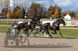 Dateiname=20251026_qu2_045_QU2_0146.jpg
Dateigröße=371KB
Abmessungen: 1000x667
hinzugefügt am: 27. Oktober 2025 20251026_qu2_045_QU2_0146.jpg