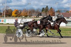 Dateiname=20251026_qu2_048_QU2_0157.jpg
Dateigröße=330KB
Abmessungen: 1000x667
hinzugefügt am: 27. Oktober 2025 20251026_qu2_048_QU2_0157.jpg