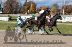 Dateiname=20251026_qu2_050_QU2_0165.jpg
Dateigröße=365KB
Abmessungen: 1000x667
hinzugefügt am: 27. Oktober 2025 20251026_qu2_050_QU2_0165.jpg