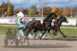 Dateiname=20251026_qu2_051_QU2_0168.jpg
Dateigröße=347KB
Abmessungen: 1000x667
hinzugefügt am: 27. Oktober 2025 20251026_qu2_051_QU2_0168.jpg