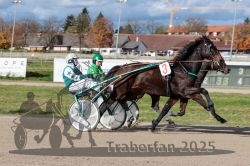 Dateiname=20251026_qu2_054_QU2_0175.jpg
Dateigröße=321KB
Abmessungen: 1000x667
hinzugefügt am: 27. Oktober 2025 20251026_qu2_054_QU2_0175.jpg