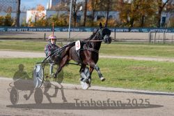 Dateiname=20251026_qu2_060_QU2_0193.jpg
Dateigröße=333KB
Abmessungen: 1000x667
hinzugefügt am: 27. Oktober 2025 20251026_qu2_060_QU2_0193.jpg