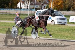 Dateiname=20251026_qu2_062_QU2_0199.jpg
Dateigröße=334KB
Abmessungen: 1000x667
hinzugefügt am: 27. Oktober 2025 20251026_qu2_062_QU2_0199.jpg