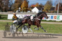 Dateiname=20251026_qu2_071_QU2_0221.jpg
Dateigröße=331KB
Abmessungen: 1000x667
hinzugefügt am: 27. Oktober 2025 20251026_qu2_071_QU2_0221.jpg