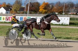 Dateiname=20251026_qu2_073_QU2_0225.jpg
Dateigröße=329KB
Abmessungen: 1000x667
hinzugefügt am: 27. Oktober 2025 20251026_qu2_073_QU2_0225.jpg