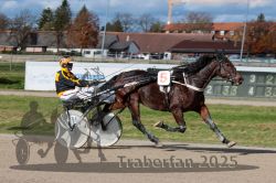 Dateiname=20251026_qu2_075_QU2_0230.jpg
Dateigröße=310KB
Abmessungen: 1000x667
hinzugefügt am: 27. Oktober 2025 20251026_qu2_075_QU2_0230.jpg