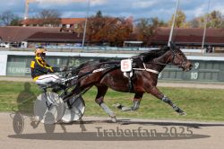 Dateiname=20251026_qu2_076_QU2_0233.jpg
Dateigröße=298KB
Abmessungen: 1000x667
hinzugefügt am: 27. Oktober 2025 20251026_qu2_076_QU2_0233.jpg