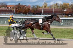 Dateiname=20251026_qu2_077_QU2_0234.jpg
Dateigröße=301KB
Abmessungen: 1000x667
hinzugefügt am: 27. Oktober 2025 20251026_qu2_077_QU2_0234.jpg