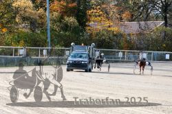 Dateiname=20251026_qu3_002_QU3_0007.jpg
Dateigröße=471KB
Abmessungen: 1000x667
hinzugefügt am: 27. Oktober 2025 20251026_qu3_002_QU3_0007.jpg