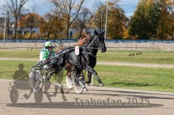 Dateiname=20251026_qu3_004_QU3_0011.jpg
Dateigröße=347KB
Abmessungen: 1000x667
hinzugefügt am: 27. Oktober 2025 20251026_qu3_004_QU3_0011.jpg