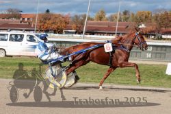 Dateiname=20251026_qu3_014_QU3_0034.jpg
Dateigröße=327KB
Abmessungen: 1000x667
hinzugefügt am: 27. Oktober 2025 20251026_qu3_014_QU3_0034.jpg