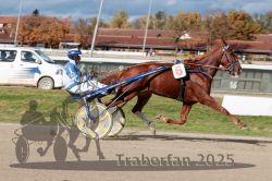 Dateiname=20251026_qu3_015_QU3_0035.jpg
Dateigröße=321KB
Abmessungen: 1000x667
hinzugefügt am: 27. Oktober 2025 20251026_qu3_015_QU3_0035.jpg