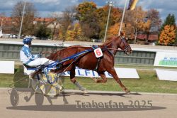 Dateiname=20251026_qu3_019_QU3_0042.jpg
Dateigröße=324KB
Abmessungen: 1000x667
hinzugefügt am: 27. Oktober 2025 20251026_qu3_019_QU3_0042.jpg