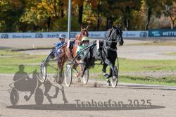 Dateiname=20251026_qu3_023_QU3_0048.jpg
Dateigröße=331KB
Abmessungen: 1000x667
hinzugefügt am: 27. Oktober 2025 20251026_qu3_023_QU3_0048.jpg