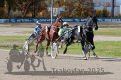 Dateiname=20251026_qu3_029_QU3_0063.jpg
Dateigröße=336KB
Abmessungen: 1000x667
hinzugefügt am: 27. Oktober 2025 20251026_qu3_029_QU3_0063.jpg