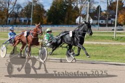 Dateiname=20251026_qu3_033_QU3_0076.jpg
Dateigröße=366KB
Abmessungen: 1000x667
hinzugefügt am: 27. Oktober 2025 20251026_qu3_033_QU3_0076.jpg