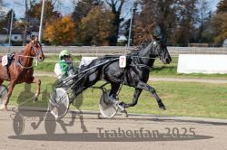 Dateiname=20251026_qu3_035_QU3_0083.jpg
Dateigröße=333KB
Abmessungen: 1000x667
hinzugefügt am: 27. Oktober 2025 20251026_qu3_035_QU3_0083.jpg