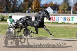 Dateiname=20251026_qu3_036_QU3_0087.jpg
Dateigröße=355KB
Abmessungen: 1000x667
hinzugefügt am: 27. Oktober 2025 20251026_qu3_036_QU3_0087.jpg