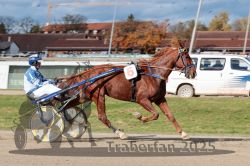 Dateiname=20251026_qu3_040_QU3_0097.jpg
Dateigröße=313KB
Abmessungen: 1000x667
hinzugefügt am: 27. Oktober 2025 20251026_qu3_040_QU3_0097.jpg