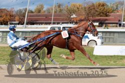 Dateiname=20251026_qu3_041_QU3_0100.jpg
Dateigröße=333KB
Abmessungen: 1000x667
hinzugefügt am: 27. Oktober 2025 20251026_qu3_041_QU3_0100.jpg