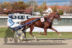 Dateiname=20251026_qu3_042_QU3_0103.jpg
Dateigröße=333KB
Abmessungen: 1000x667
hinzugefügt am: 27. Oktober 2025 20251026_qu3_042_QU3_0103.jpg