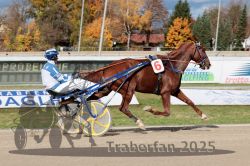 Dateiname=20251026_qu3_044_QU3_0110.jpg
Dateigröße=350KB
Abmessungen: 1000x667
hinzugefügt am: 27. Oktober 2025 20251026_qu3_044_QU3_0110.jpg