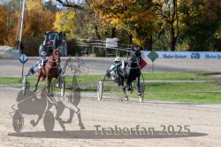 Dateiname=20251026_qu3_046_QU3_0115.jpg
Dateigröße=381KB
Abmessungen: 1000x667
hinzugefügt am: 27. Oktober 2025 20251026_qu3_046_QU3_0115.jpg