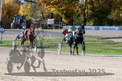 Dateiname=20251026_qu3_048_QU3_0120.jpg
Dateigröße=358KB
Abmessungen: 1000x667
hinzugefügt am: 27. Oktober 2025 20251026_qu3_048_QU3_0120.jpg