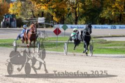 Dateiname=20251026_qu3_050_QU3_0124.jpg
Dateigröße=382KB
Abmessungen: 1000x667
hinzugefügt am: 27. Oktober 2025 20251026_qu3_050_QU3_0124.jpg